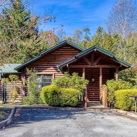 Dog Friendly, Romantic Mtn Getaway Hot Tub Pool Gatlinburg Buitenkant foto