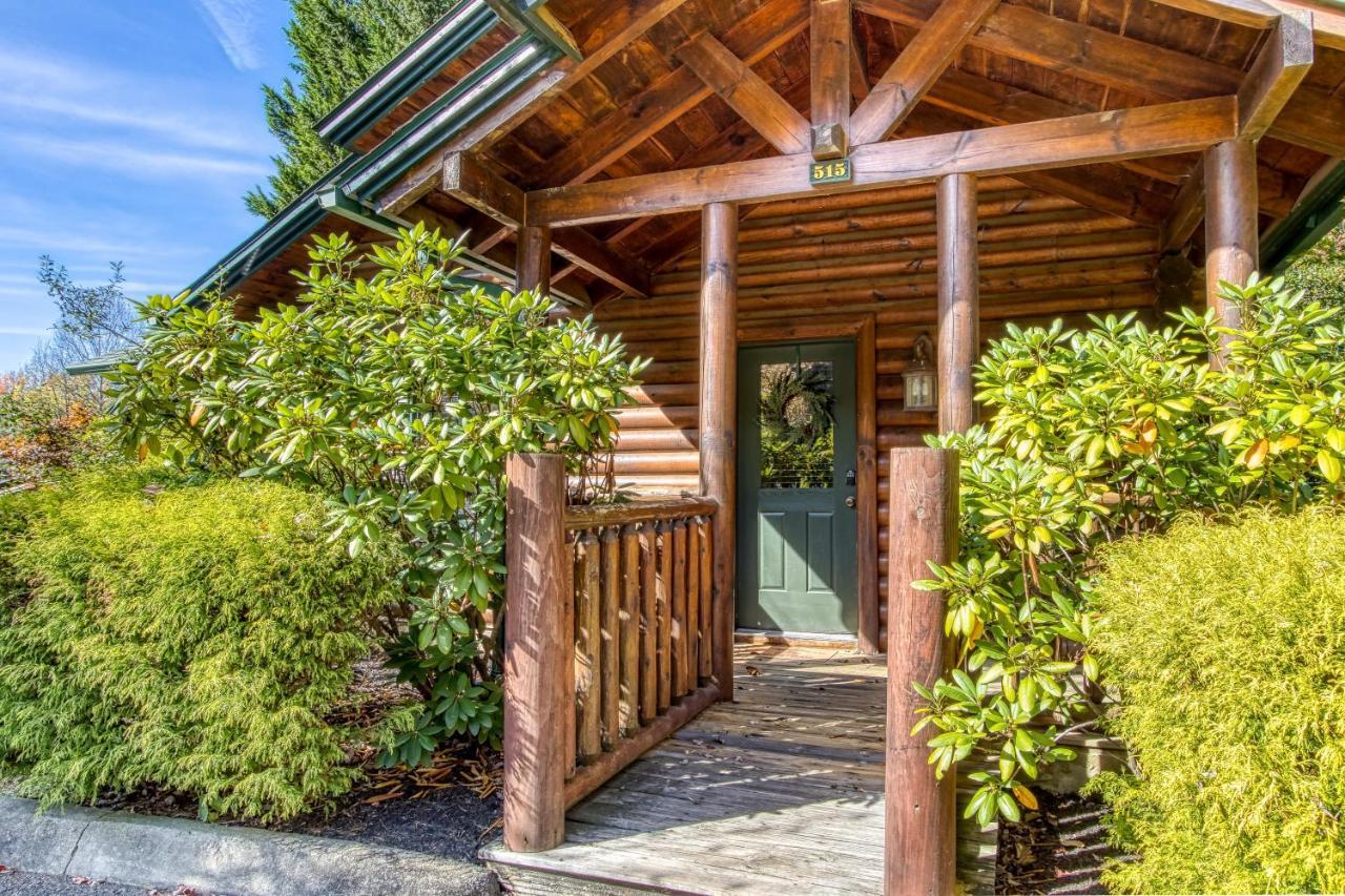 Dog Friendly, Romantic Mtn Getaway Hot Tub Pool Gatlinburg Buitenkant foto