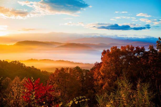 Dog Friendly, Romantic Mtn Getaway Hot Tub Pool Gatlinburg Buitenkant foto