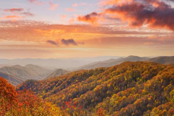 Dog Friendly, Romantic Mtn Getaway Hot Tub Pool Gatlinburg Buitenkant foto